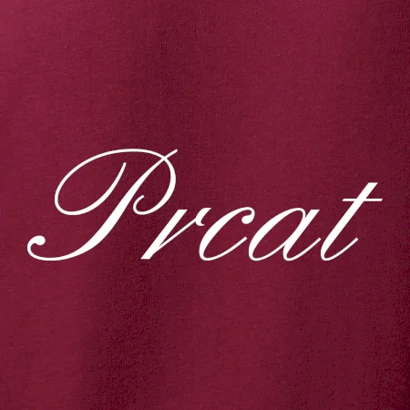 Prcat (souložit vulgárně)