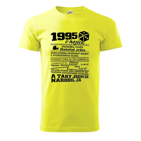 1995 v kostce