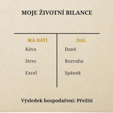 Moje životní bilance má dáti dal