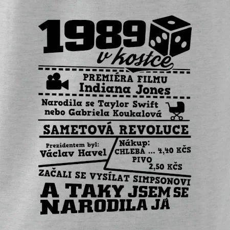 1989 v kostce