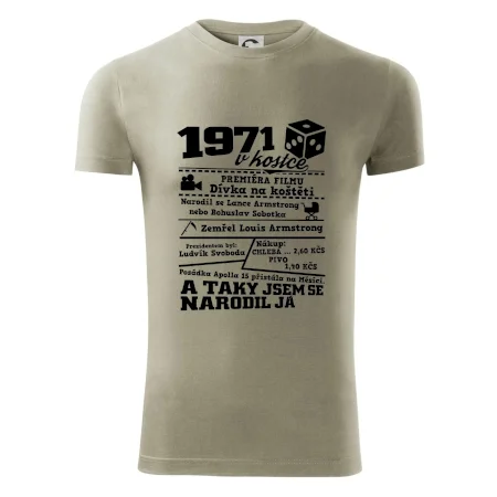 1971 v kostce