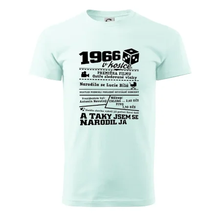 1966 v kostce