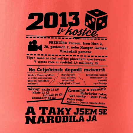 2013 v kostce