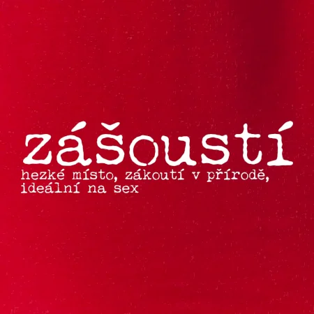 Čeština 2.0 - zášoustí