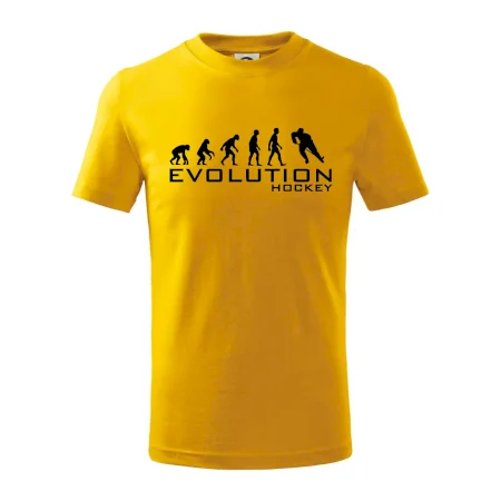 Evoluce Hockey - hráč