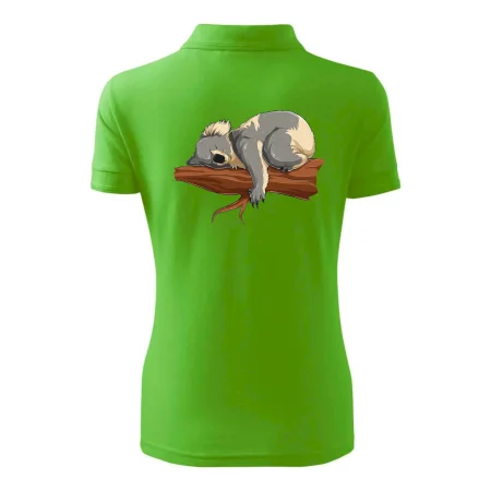Koala na větvi