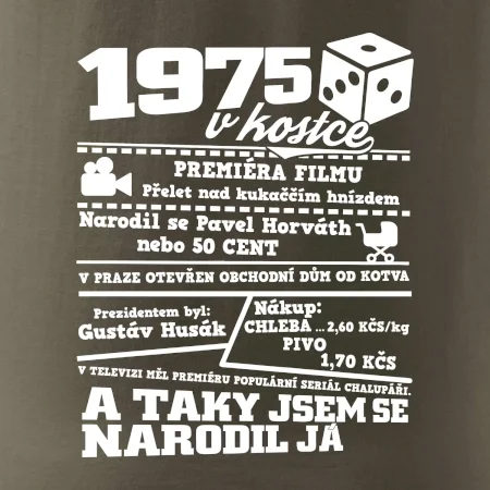 1975 v kostce