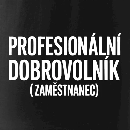 PROFESIONÁLNÍ DOBROVOLNÍK (zaměstnanec)