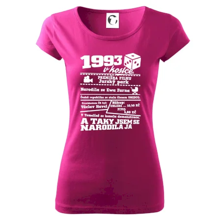 1993 v kostce