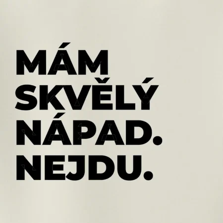 MÁM SKVĚLÝ NÁPAD. NEJDU.