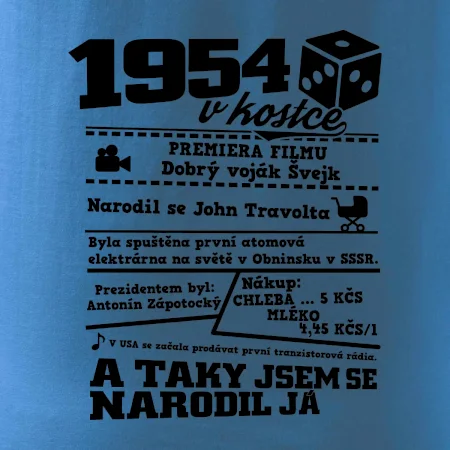 1954 v kostce