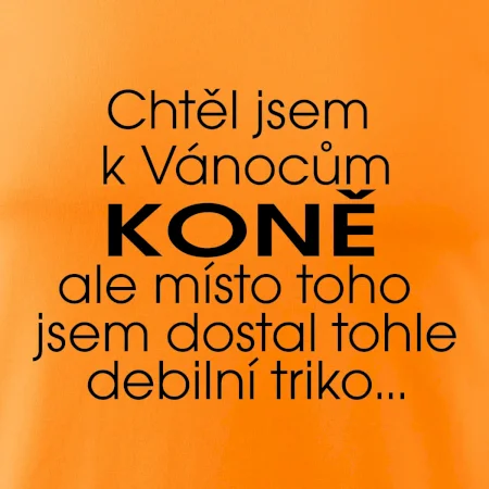 Chtěl jsem dostat k Vánocům koně