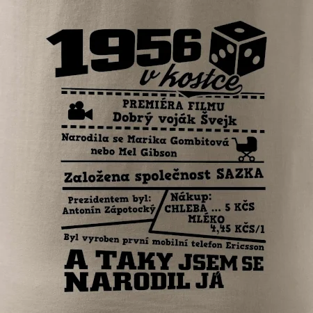 1956 v kostce
