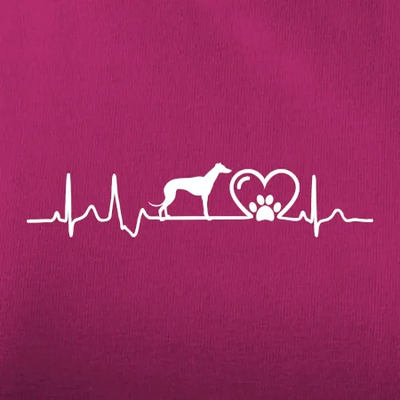 Chrt - Ekg