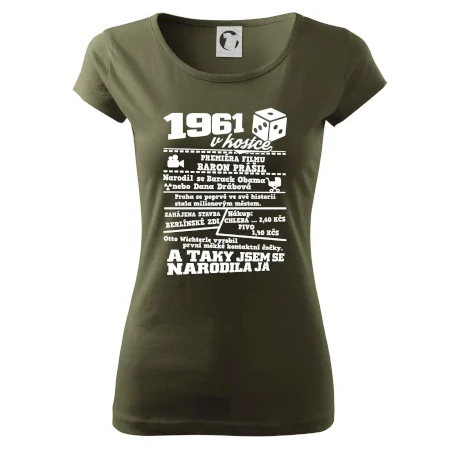 1961 v kostce