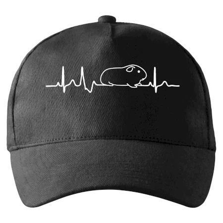 EKG morče