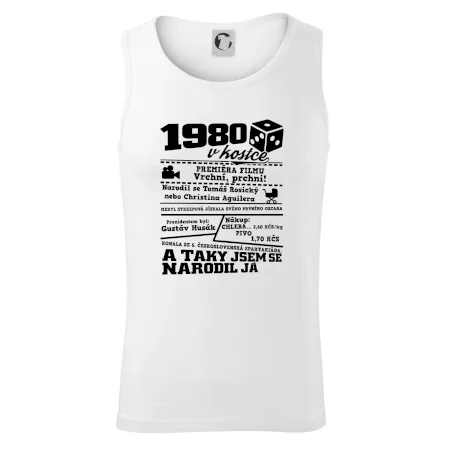1980 v kostce