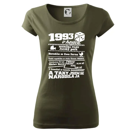 1993 v kostce