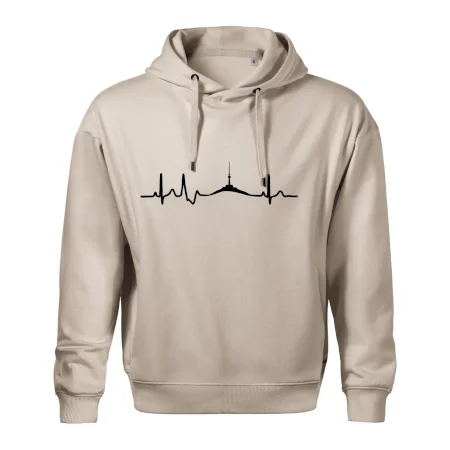 Ekg Jeseníky
