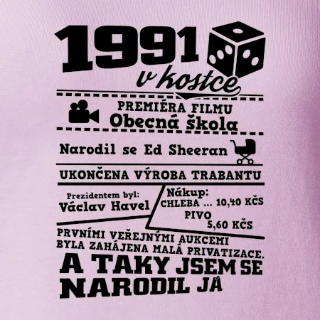 1991 v kostce