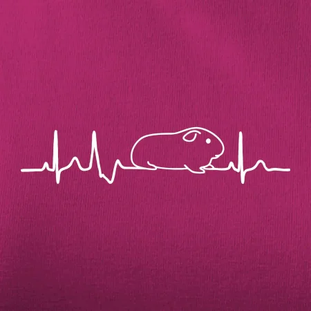EKG morče