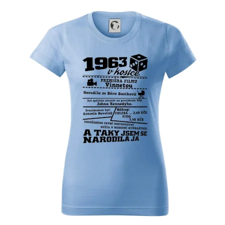 1963 v kostce
