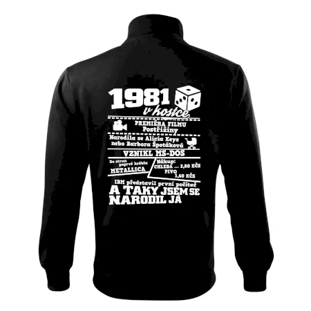1981 v kostce