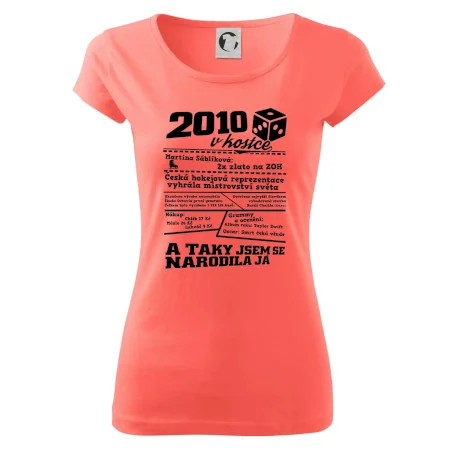 2010 v kostce