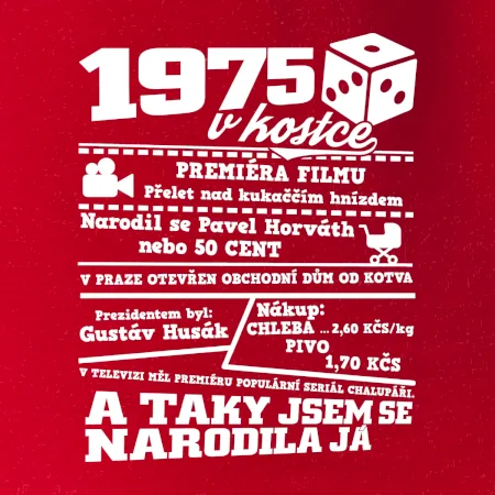 1975 v kostce