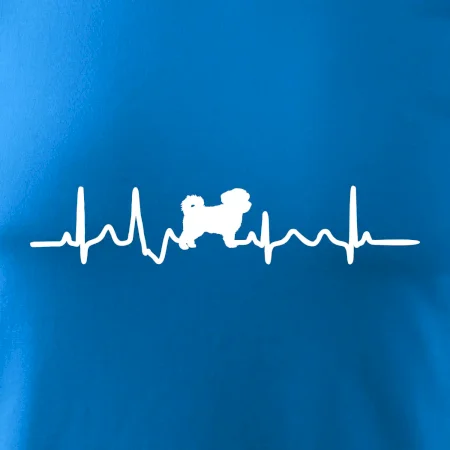 Havanský psík ekg