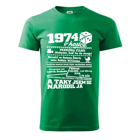 1974 v kostce