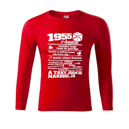 1955 v kostce