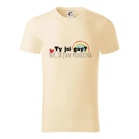 Gay princezna