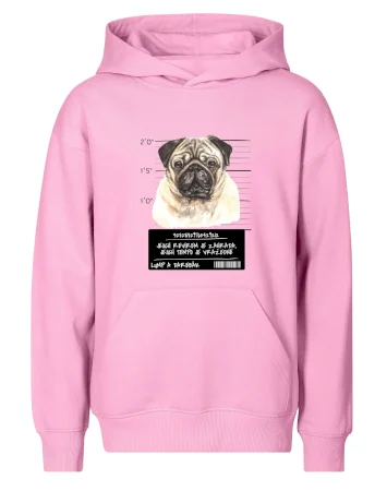 Lump a darebák mopsík