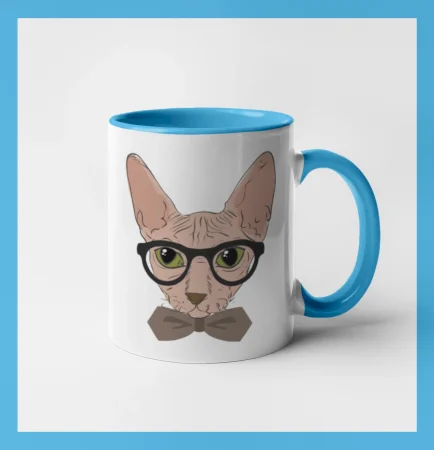 Hipster sphynx