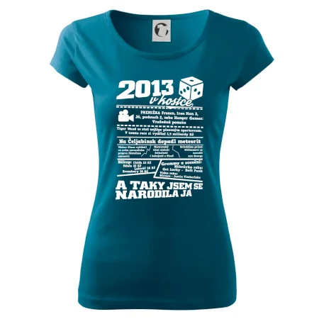 2013 v kostce