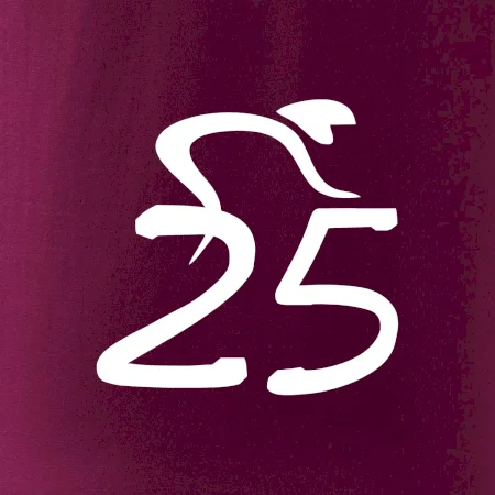 Cyklista slaví pětadvacítku (25)