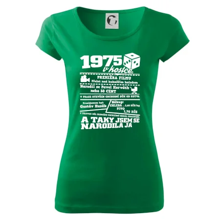 1975 v kostce