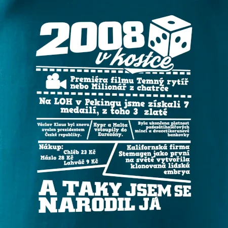 2008 v kostce