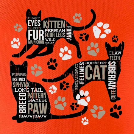 Cat itself