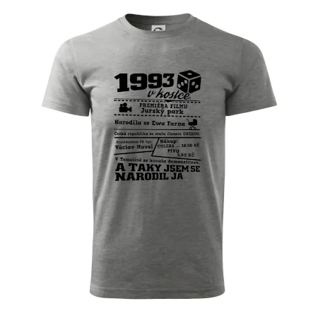 1993 v kostce