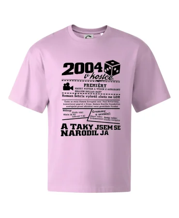 2004 v kostce