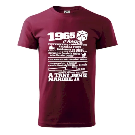 1965 v kostce