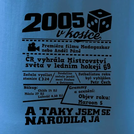 2005 v kostce