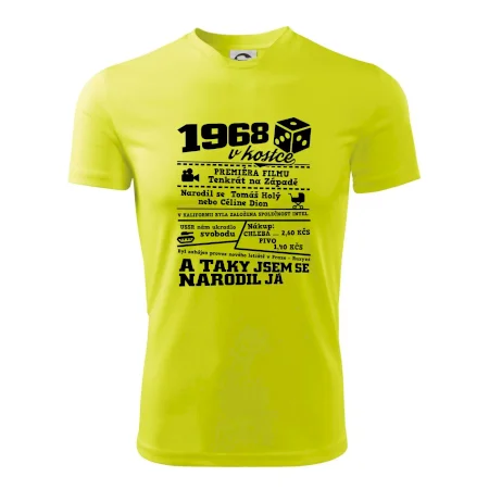 1968 v kostce