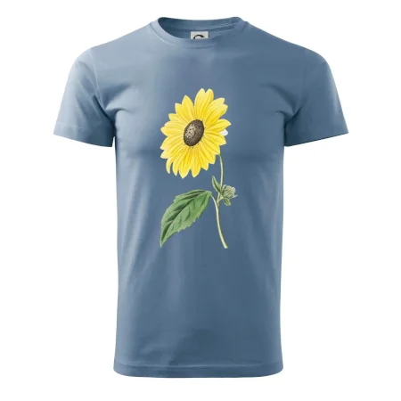 Slunečnice otočená
