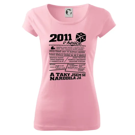 2011 v kostce