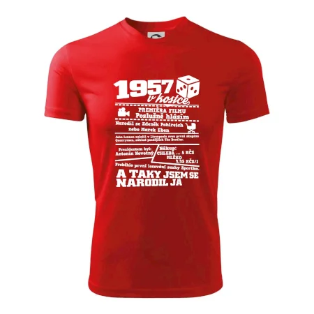 1957 v kostce