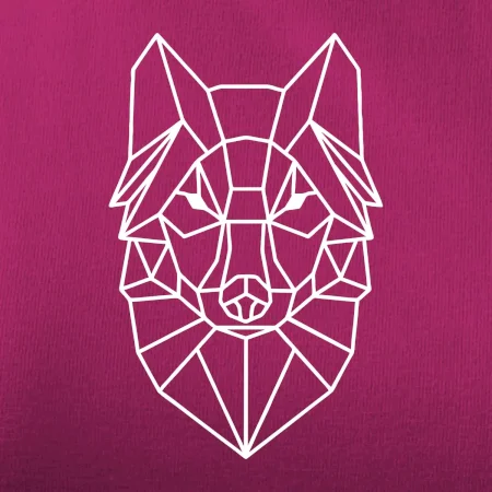 Geometrie - vlk