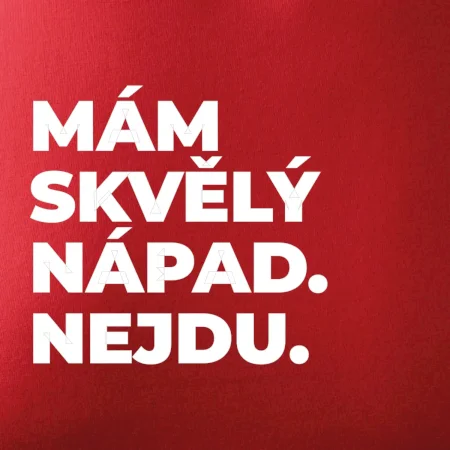 MÁM SKVĚLÝ NÁPAD. NEJDU.